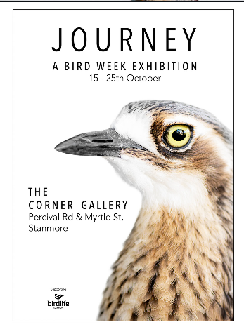 Birdweek Australia 2026 invite